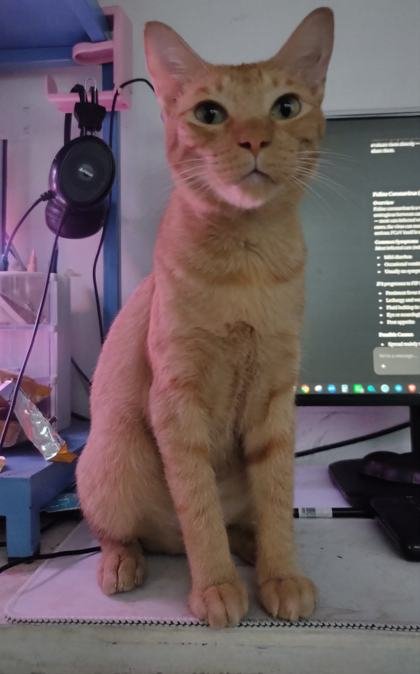 Orange