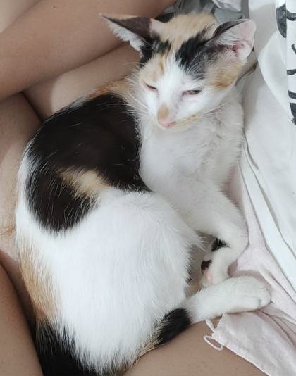 Yumi